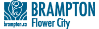 brampton family law services
